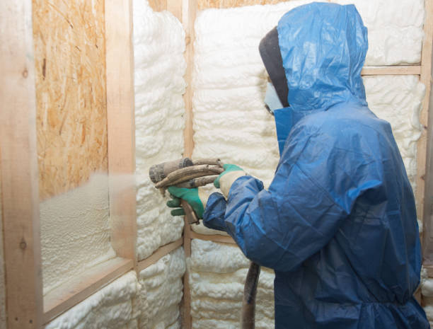 Best Attic Insulation Installation  in Rancho Alegre, TX